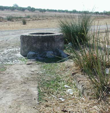 Caliços, Laje e Amoreira: no interior destas albufeiras não se localiza nenhuma captação de água subterrânea; Serpa: a albufeira de Serpa irá submergir uma nascente (522G052).