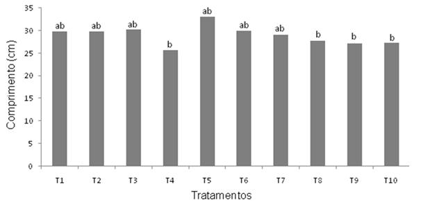 oriundas de sementes submetidas aos tratamentos pré-germinativos de escarificação mecânica com lixa mais embebição em água por 12 e 24 horas, T3 e T4 respectivamente, não diferindo estatisticamente