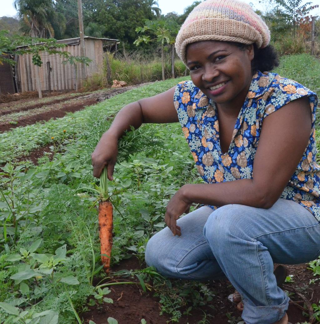 Objetivos Gerais 1- Filiar pelo menos 30 novas associações de agricultores familiares, pequenos produtores ou empreendedores familiares rurais no estado de São Paulo até dezembro de 2019, sendo: a)