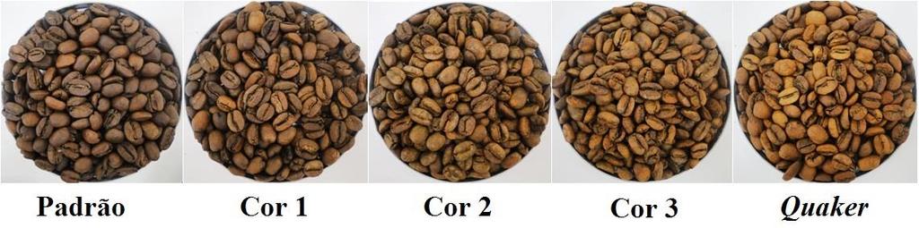 Figura 1. Curva de torra dos grãos de café preparados para a composição dos tratamentos.