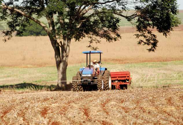 NOTAS E REGISTROS AUDIÊNCIA PÚBLICA As dificuldades enfrentadas na produção e comercialização do trigo no Brasil foram tema de audiência pública realizada pela Comissão de Agricultura, Pecuária,