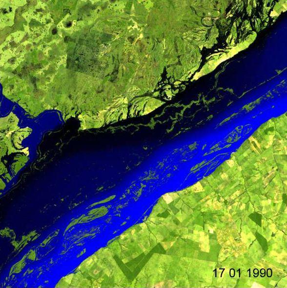 influência do Paraná e áreas em que as águas do Baia estão preservadas.