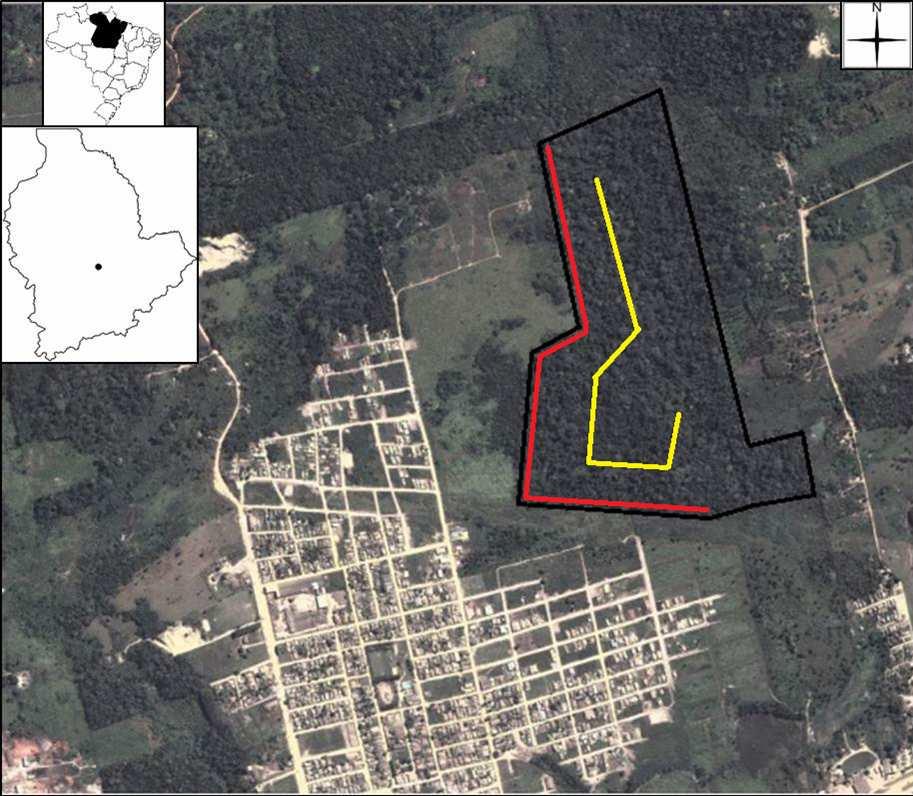 FIGURA 1. Localização da área de estudo no município de Uruará-PA. Linha vermelha representa as armadilhas da borda e a linha amarela as armadilhas do interior. Análise estatística.