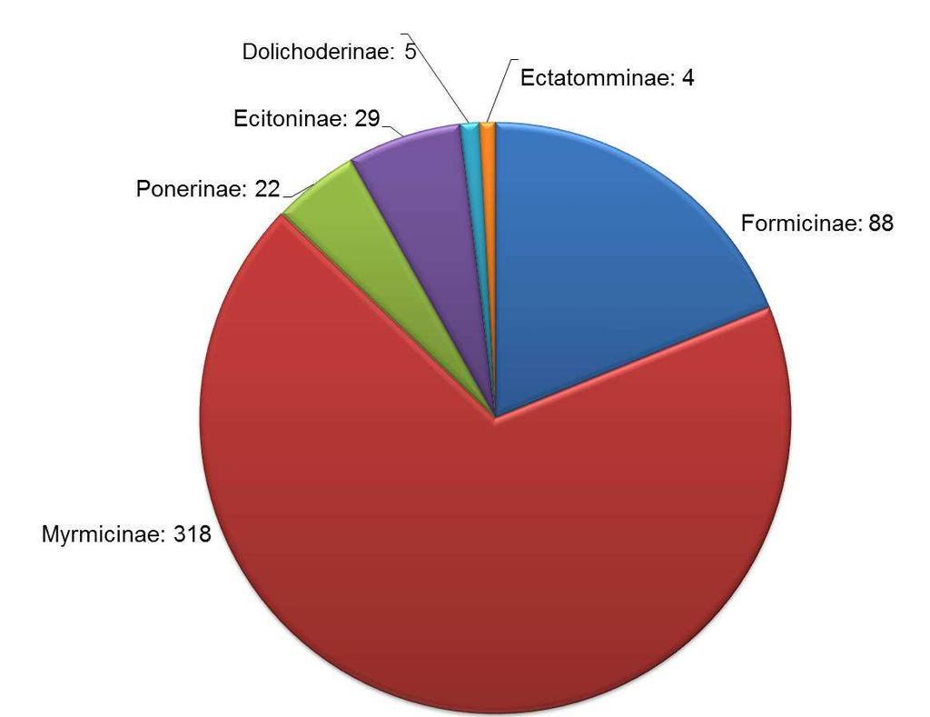 A subfamília Formicinae, a segunda mais abundante neste estudo, está de acordo com os resultados de LEAL (2002, 2003), BIEBER et al. (2006), CORRÊA et al (2006).
