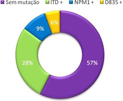 15 doentes têm a mutação FLT3-ITD (28%) e 3 a mutação FLT3-D835 (6%), embora 2 destes doentes (12,5%) sejam portadores de ambas as mutações.