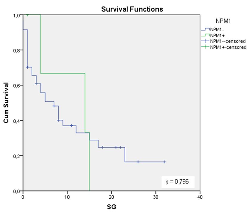 Figura 18 Análise da sobrevivência global dos doentes com LMA como ou sem mutação do gene do gene NPM1. Presença da mutação NPM1+ (linha verde); ausência da mutação NPM1 (linha azul).