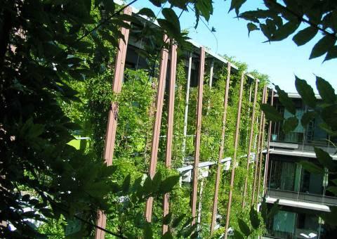 Green Roofs, Green Façades, Air Cooling adiabatic