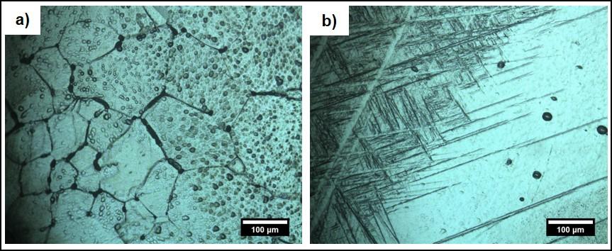 Figura 3. Microscopia ótica da liga Ti40Nb-Swaged.