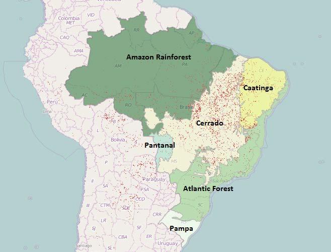 Áreas queimadas no Brasil Distribuição espacial da área queimada nos principais biomas do Brasil. Libonati et al.
