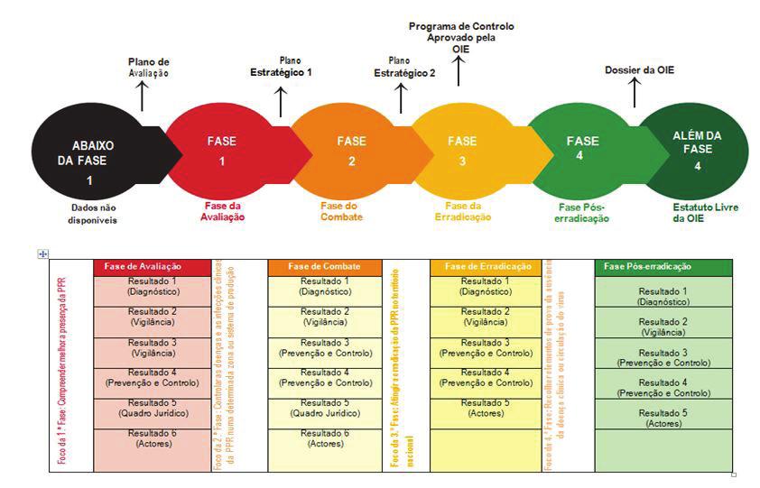 Visão geral das fases da estratégia e as principais características é apresentada na figura a seguir 5.