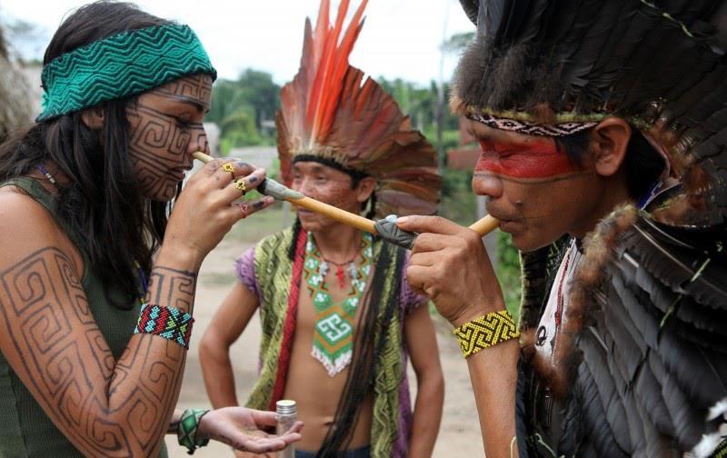 Idade Média Populações indígenas utilizavam para fins terapêuticos, espirituais e lúdicos (tabaco, ayahuasca).