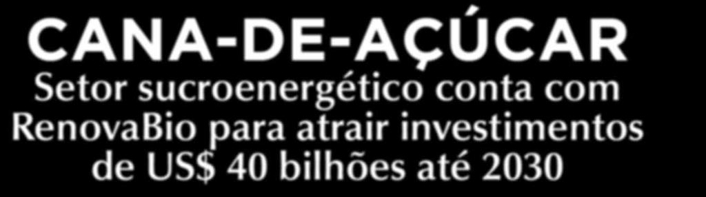 tendências, novidades e importância das marcas no posicionamento das empresas.