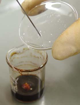 O tiossulfato de sódio é insolúvel no etanol, logo é necessário misturar bem para que a reacção seja completa.