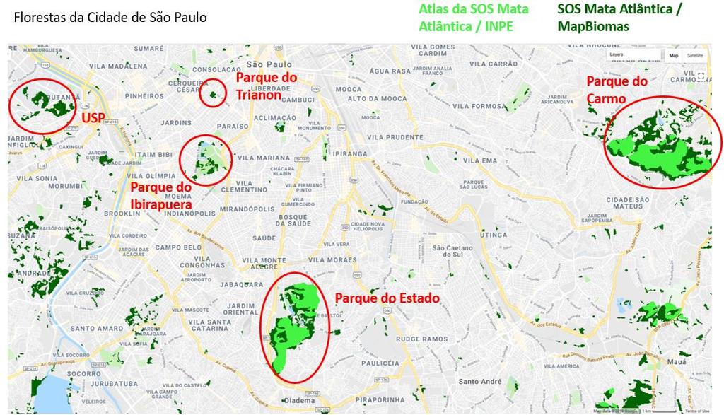 Figura 5 Matas na cidade de São Paulo. 2.
