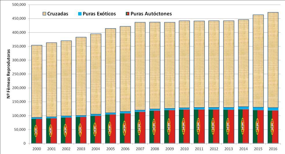 Milhares de Toneladas Milhares de Toneladas Bovinos de Carne em Portugal Produção de Carne em Portugal Consumo de Carne em Portugal 14 12 1 8 6 4 778 796 812 88 845 877 893 889 271 29 294 288 316 352