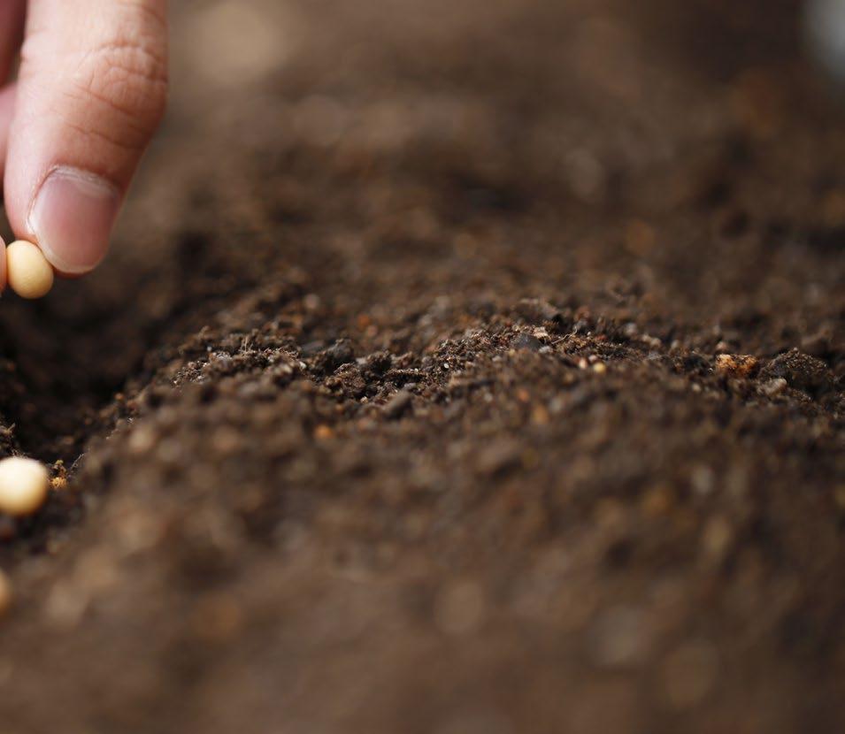 Aumentar a produtividade e a renda, preservando os recursos do meio ambiente, como solo e água, são parte dos desafios enfrentados pelos agricultores.