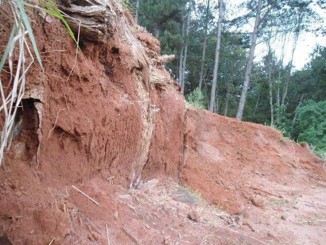 Grupo Itararé Grupo Itararé Paleoambiente Glacial