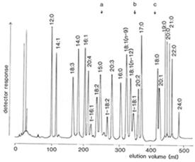 ... Composição química (%) Composição centesimal Humidade 7 7 7 7 7 7 7 7 7 7