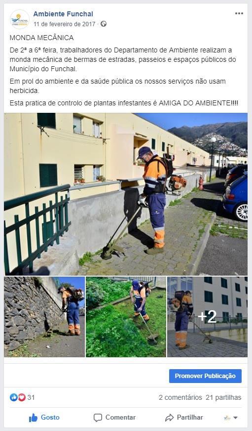 Munícipe, Site CMF, Funchal Alerta