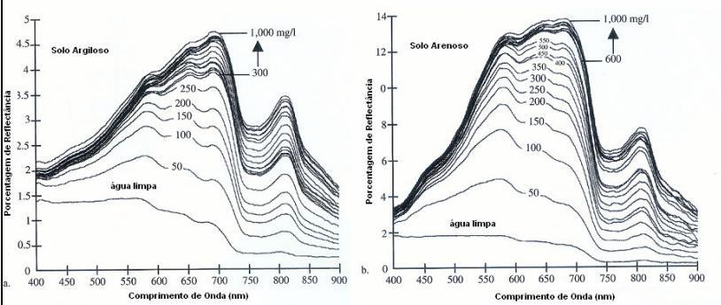 REFLECTÂNCIA DIFERENTES CONCENTRAÇÕES DE SEDIMENTO NA ÁGUA (a) (b) Figura 5 - Reflectância espectral in situ da água