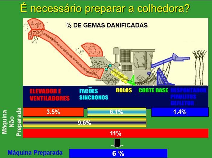 DANOS EM GEMAS NA COLHEDORA Fonte: