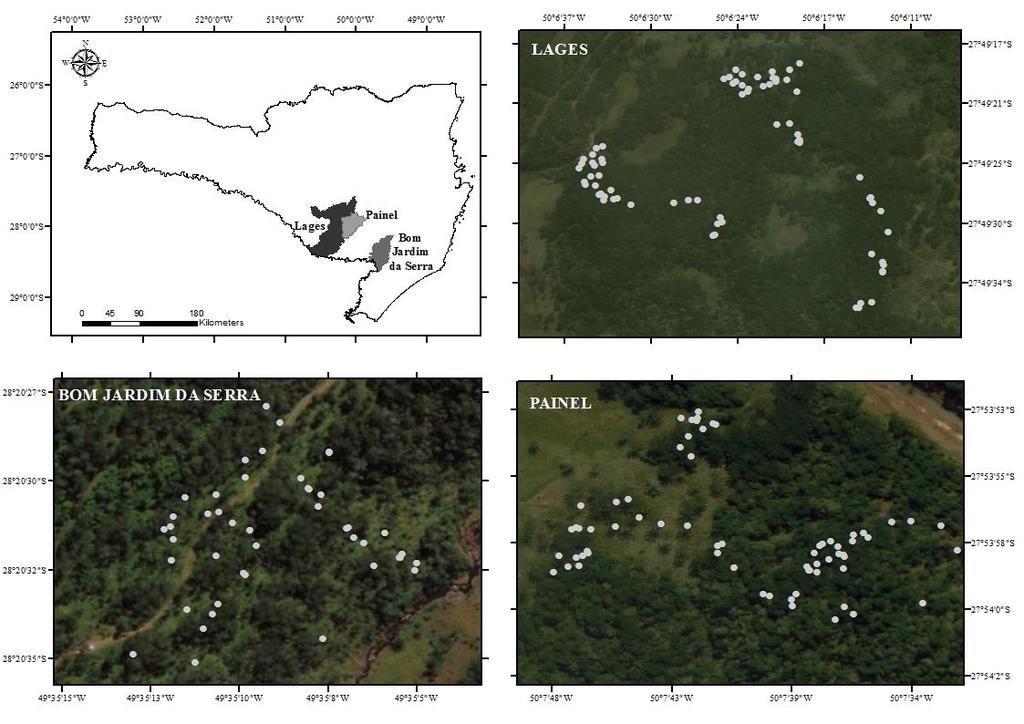 65 Figura 7 - Mapa da área de estudo no município de Lages, Bom Jardim da Serra e Painel/SC, com destaque para as árvores femininas amostradas. Fonte: Elaborada pela autora, 2018.