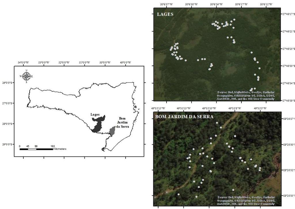 84 Figura 11 - Mapa da área de estudo no município de Lages e Bom Jardim da Serra, SC,com destaque para as árvores femininas amostradas. Fonte: Elaborada pela autora, 2018.