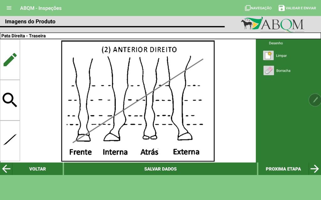 19 6.1 Desenho e cancelamento dos membros Utilize o para desenhar