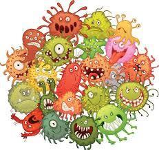 Bactérias associadas às infecções