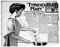 1. Colonização assintomática (Salmonella Typhy e Paratyphi): vesícula biliar é o principal reservatório. Pode ocorrer por mais de 1 ano em 1 a 5% dos pacientes. 2.