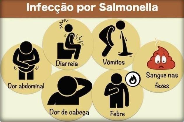 Os sintomas podem persistir por 2 a 7 dias até resolução espontânea. 3. Febre tifóide(salmonella Typhy): bacteremia, colonização vesícula biliar e reinfecção do intestino.