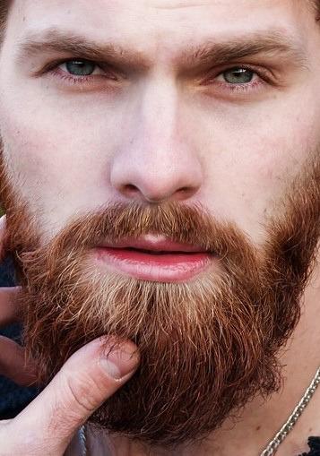 A (d)epilação na Barba? Depilação da barba com cera, seja quente ou fria, não é recomendada porque os poros dos homens são mais dilatados e a quantidade de pelos é maior.