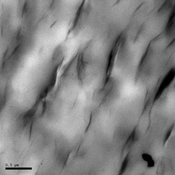 obtidos com diferentes quantidades de polipropileno funcionalizado. As imagens de microscopia eletrônica de transmissão dos nanocompósitos obtidos estão apresentadas nas fiuras 2 e 3.