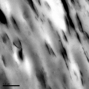 (A) (B) (C) Figura 3 - Microscopia eletrônica de transmissão do nanocompósito obtido com 1% de polipropileno funcionalizado.
