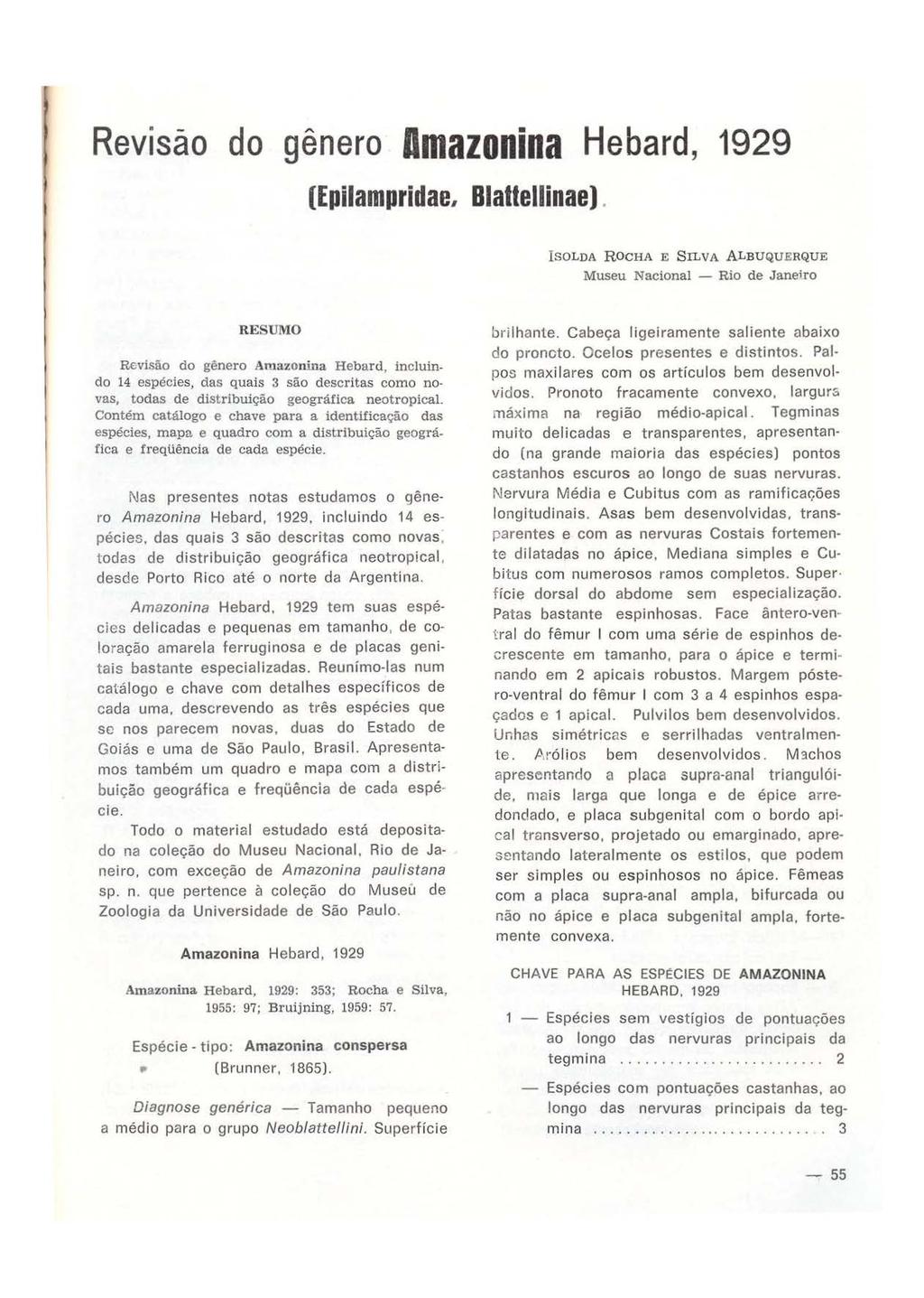 "' Revisão do genero Dmazonina Hebard, 1929 (Epilampridae, Blattellinae J.