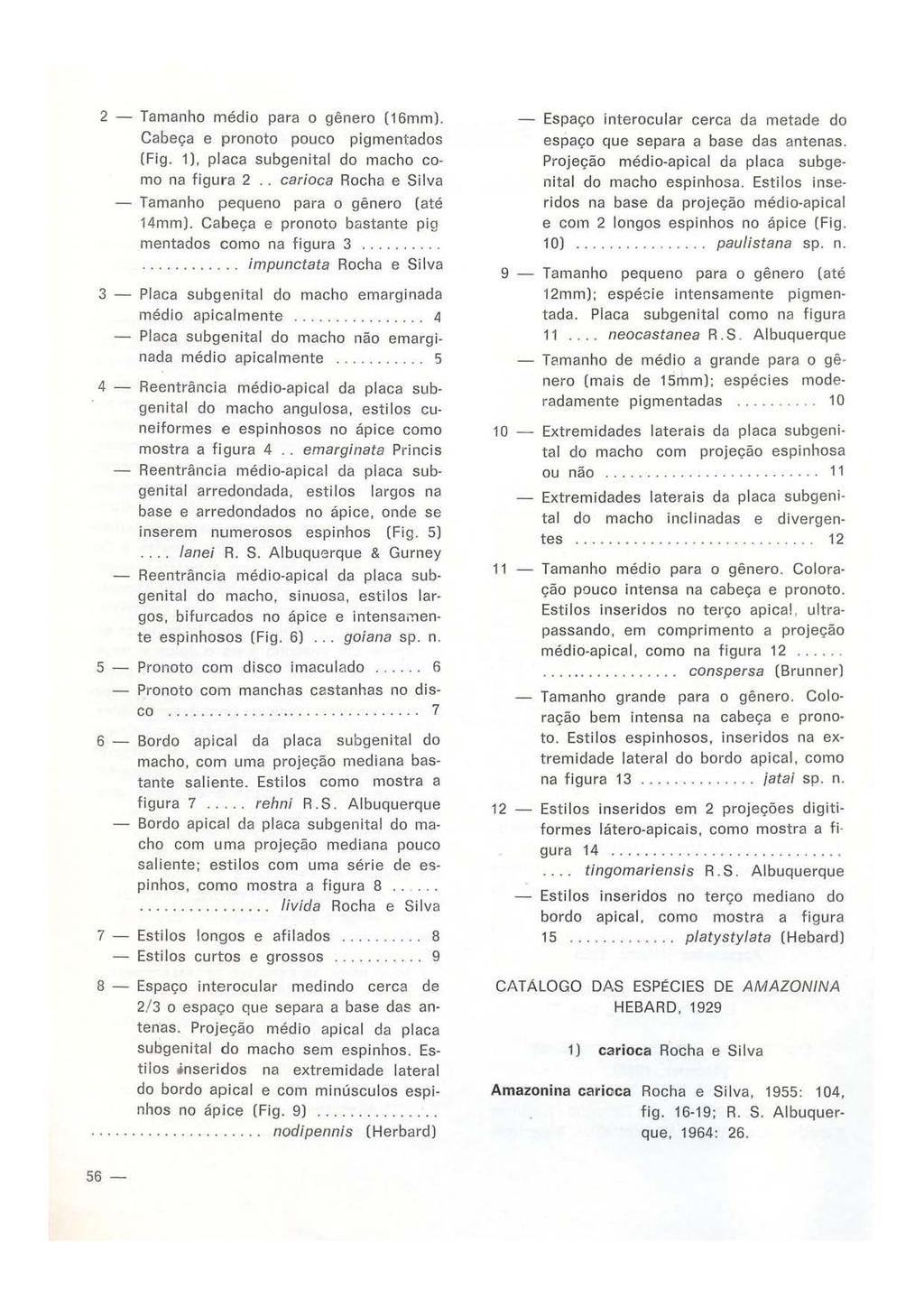 2 - Tamanho médio para o gênero (16mm). Cabeça e pronoto pouco pigmentados (Fig. 1), placa subgenital do macho como na figura 2.. carioca Rocha e Si v a - Tamanho pequeno para o gênero (até 14mm).