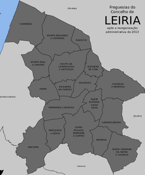 O município de Leiria, devido à sua localização na orla costeira, à prevalência de extensas áreas florestais, à inserção da rede