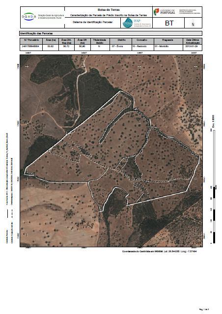 3. CARATERÍSTICAS DO DOCUMENTO BOLSA DE TERRAS (BT) O documento Bolsa de Terras tem uma estrutura e organização semelhantes a outros documentos do Sistema de Identificação Parcelar, nomeadamente os