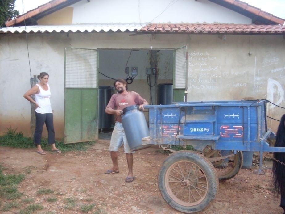 Produção de milho: Sistema tradicional: 2.081 kg.