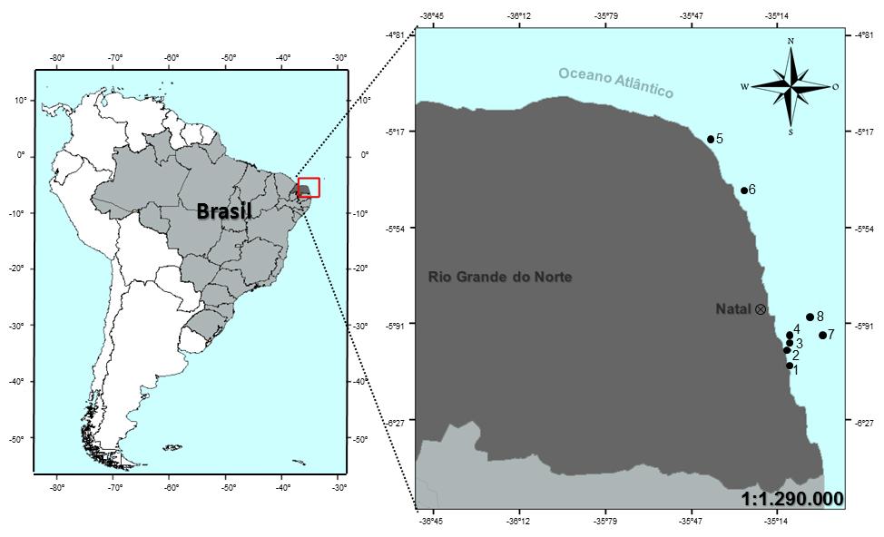 8 Figura 1 Mapa dos sítios recifais amostrados ao longo da costa do estado do Rio Grande do Norte.