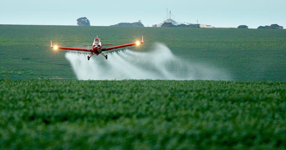 ( ) III. Com a utilização de agrotóxicos, pode-se eliminar os insetos nocivos, acabando com o ápice da cadeia alimentar.