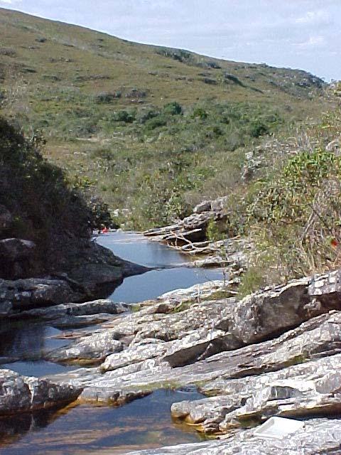 Parâmetros Convencionais X Processos o ecossistema como um cenário.