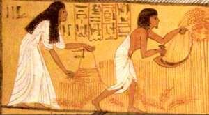 A organização social Os Camponeses Chamados no Egito de felás, constituíam a imensa maioria da população.