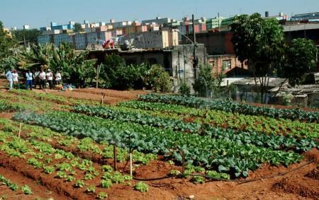 forma segura, para gerar produtos agrícolas e pecuários voltados ao auto-consumo, trocas e doações ou