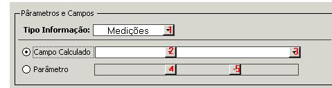 Parâmetros e Campos: 1 - Tipo de Informação Permite filtrar a informação que vai aparecer nos campos abaixo: campo calculado e