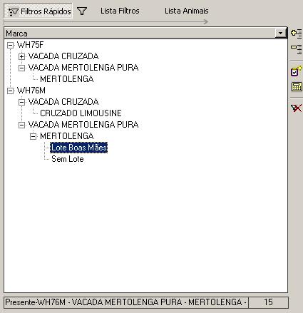 81 Como se pode ver, na barra, na parte inferior do ecrã de filtros rápidos, para o exemplo, existem 15 animais no Lote Boas Mães que são de Raça Mertolenga, pertencem ao Rebanho Vacada Mertolenga