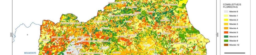 Caderno II Plano Municipal de Defesa da Floresta Contra Incêndios Plano de Ação Mapa