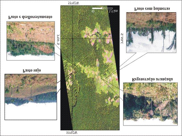 4. Resultados e Discussão Na Figura 3 são ilustradas as principais tipologias de cobertura vegetal encontradas na área imageada pelo sensor Hyperion do satélite EO-1.
