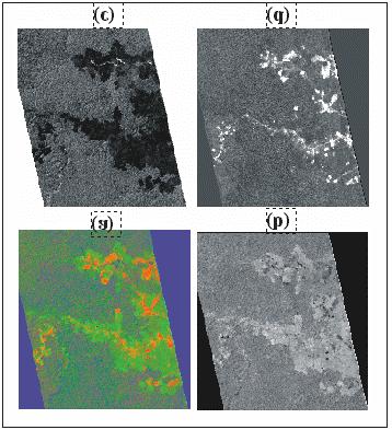 Fig. 5 Imagens fração derivadas dos dados do sensor Hyperion do satélite EO-1 adquirida em 30 de julho de 2001: (a) composição