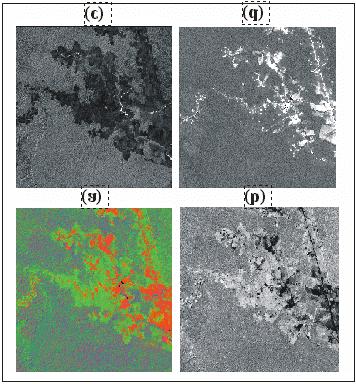 Fig. 6 Imagens fração derivadas dos dados do sensor ETM+ do satélite Landsat-7 adquirida em 30 de julho de 2001: (a) composição